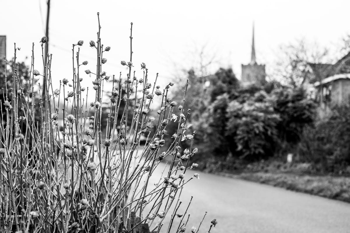 Road Works (For Years)