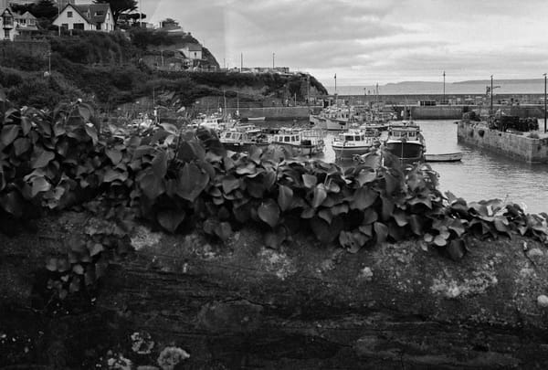 Faded seaside glamour