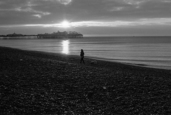 Solitude and murmurations